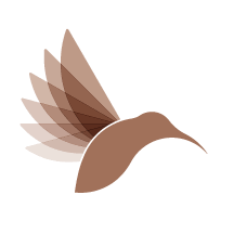 aviation glass logo