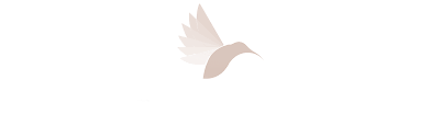 aviation glass